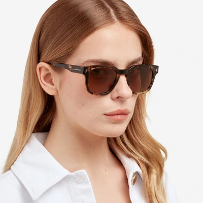 HAWKERS Stack Havana Olive Polarized 
